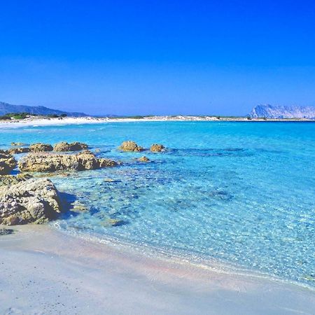 Iss Travel, Panoramic Coda Cavallo Cottages - 10 Km From San Teodoro سان تيودورو المظهر الخارجي الصورة